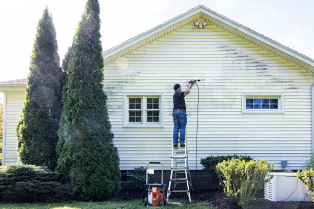 Best Roof Pressure Washing  in Dover, FL