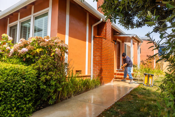 Best Pressure Washing Driveway  in Dover, FL