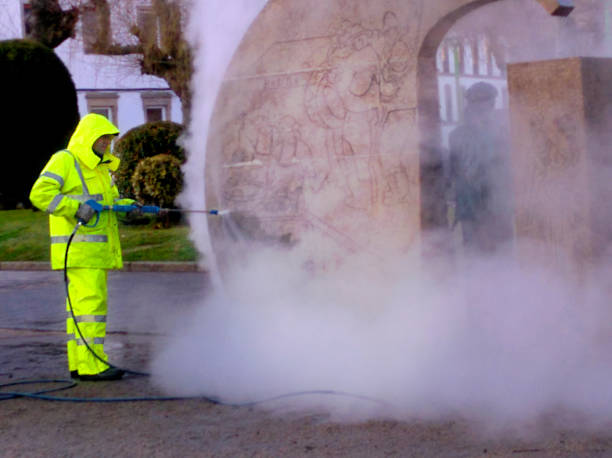 Best Residential Pressure Washing Services  in Dover, FL